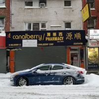 Canalberry Pharmacy 順源西藥房