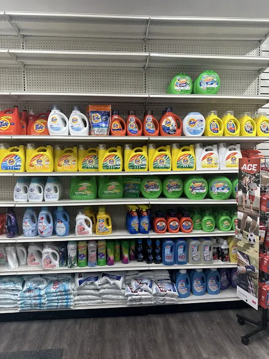 SPM PHARMACY 1
