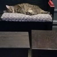 Wespaw Pets Pharmacy