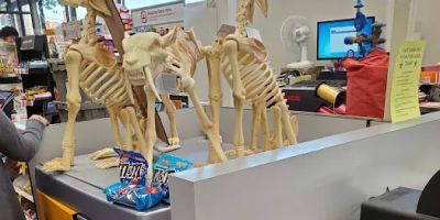 CVS Pharmacy
