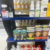 United Pharmacy
